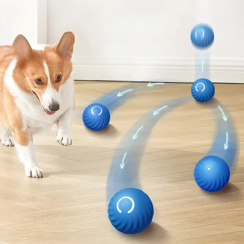 Interractive Motion Activated Rolling Ball Dog Toy - Pets Accomplice