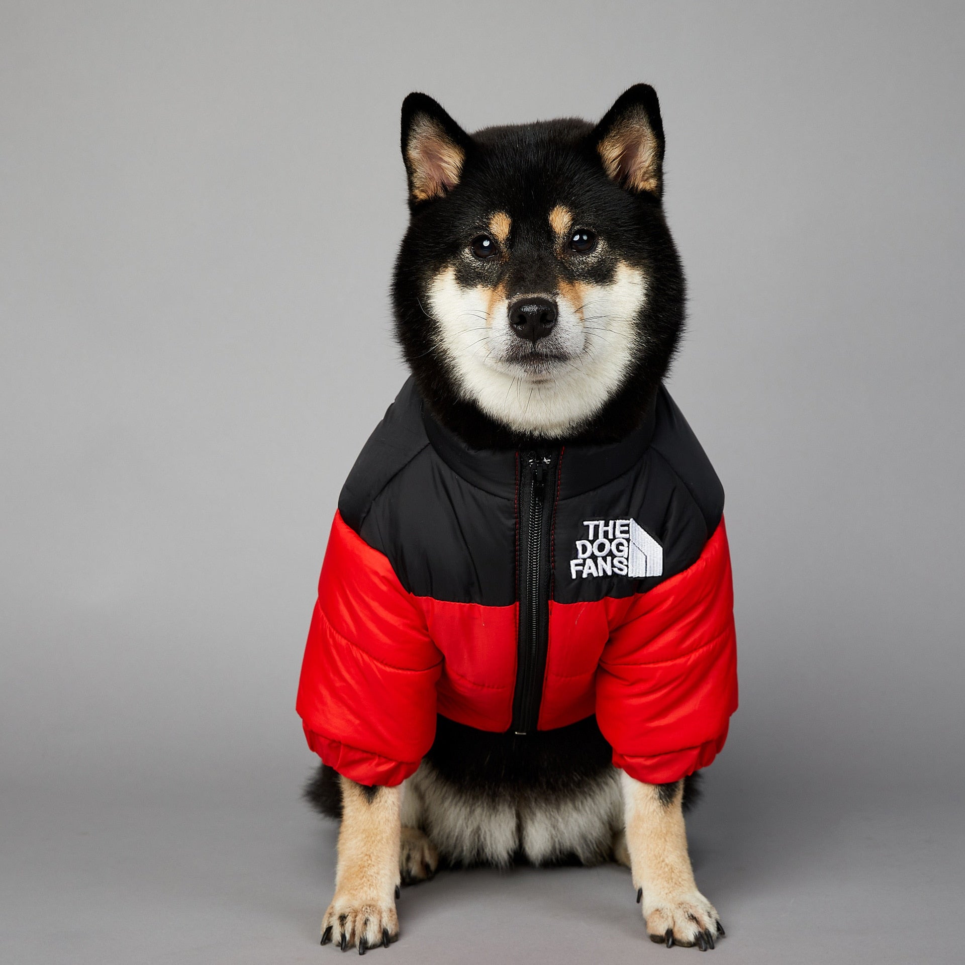 Dog Face Puffer Coat - Pets Accomplice