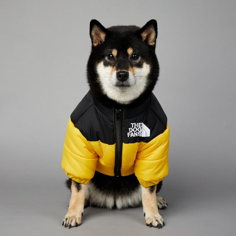 Dog Face Puffer Coat - Pets Accomplice