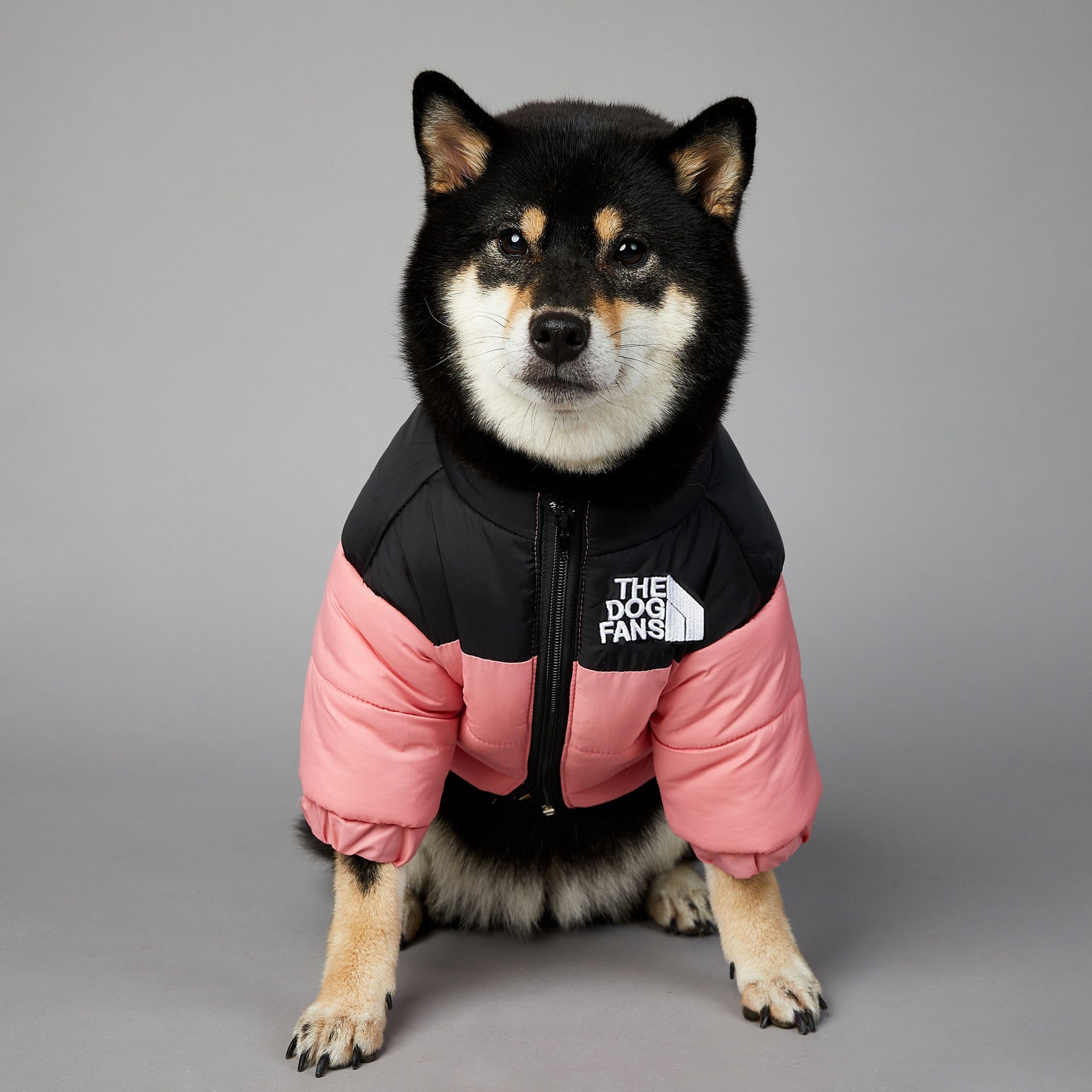 Dog Face Puffer Coat - Pets Accomplice