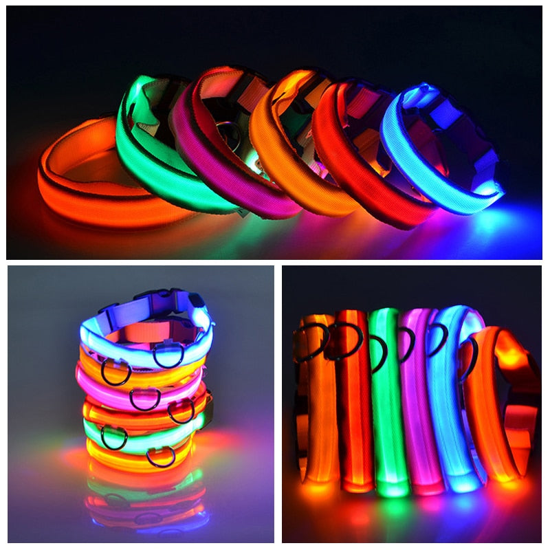 LED Flashing Dog Collar - Pets Accomplice