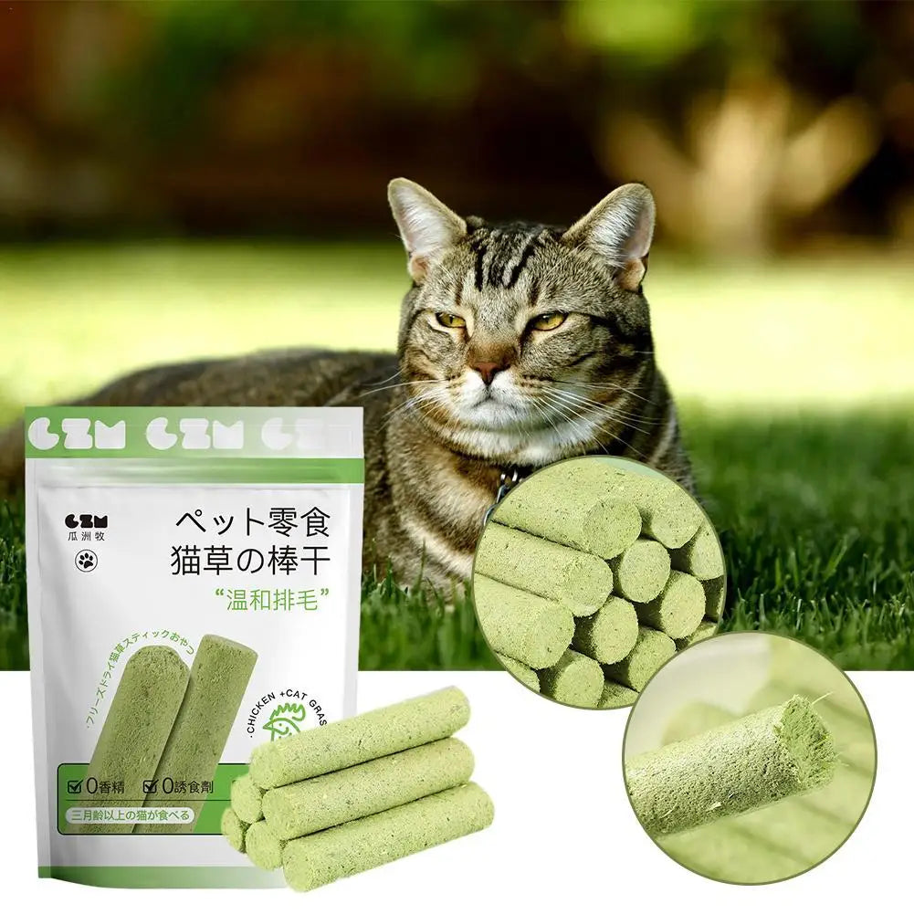Cat Grass Teething Sticks - Pets Accomplice
