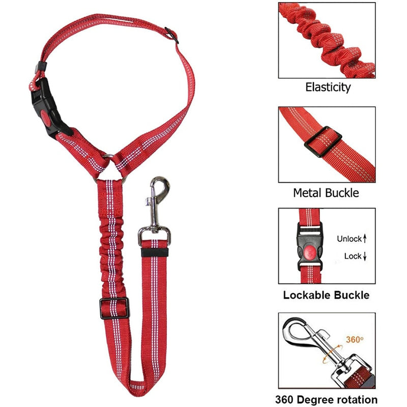 Car Dog Leash - Pets Accomplice