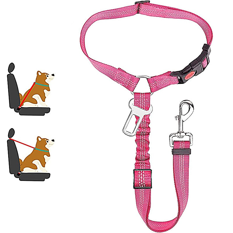 Car Dog Leash - Pets Accomplice