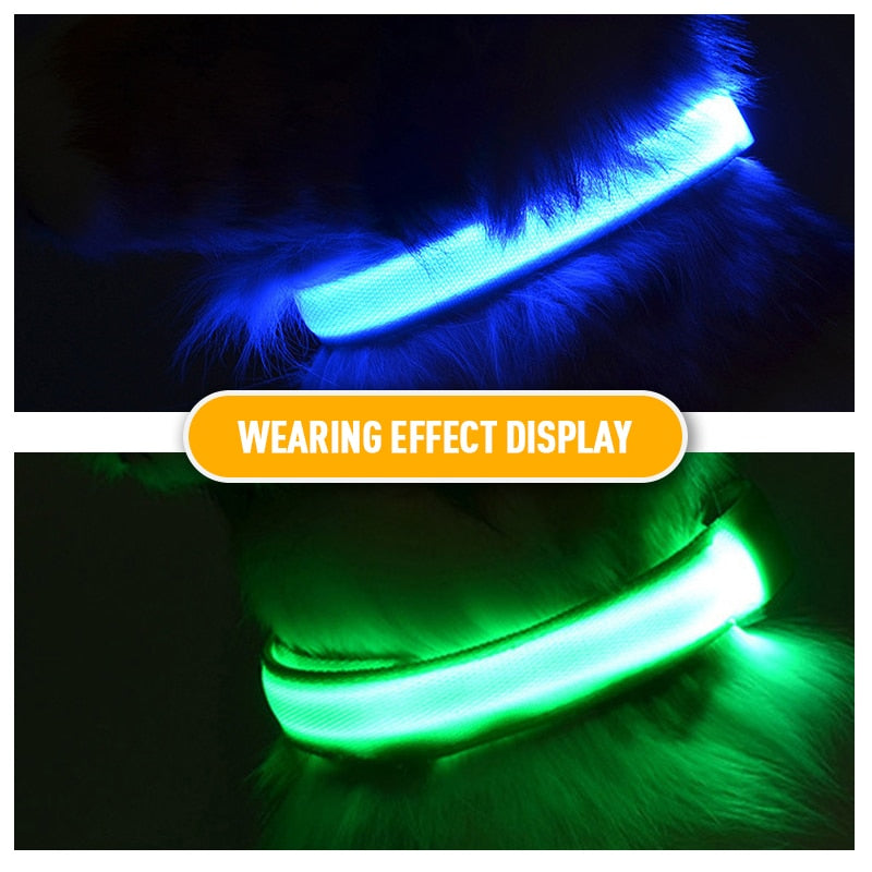 LED Flashing Dog Collar - Pets Accomplice