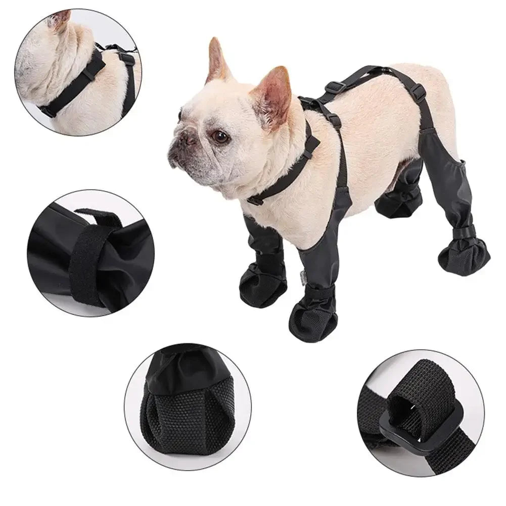 Adjustable Connected Dog Boots - Ultimate Paw Protection - Pets Accomplice