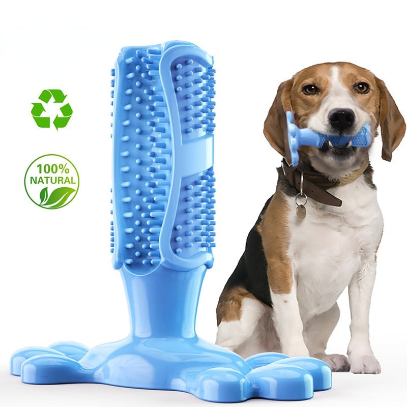 EZ Care Dog Toothbrush - Pets Accomplice