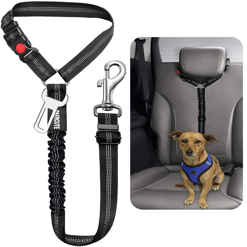 Car Dog Leash - Pets Accomplice