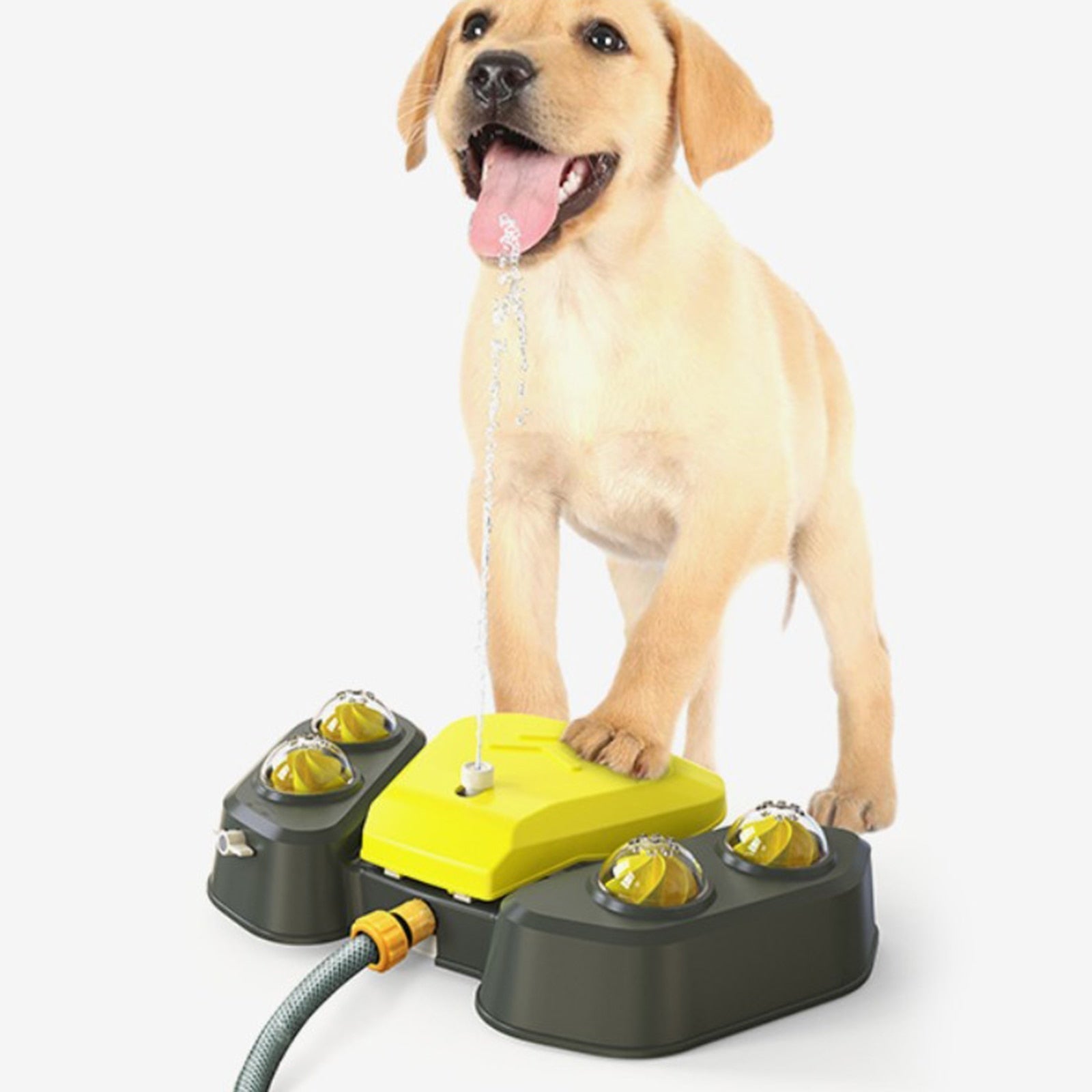 Dog Water Sprinkler - Pets Accomplice
