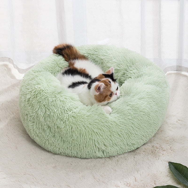 Calming Pet Bed - Pets Accomplice