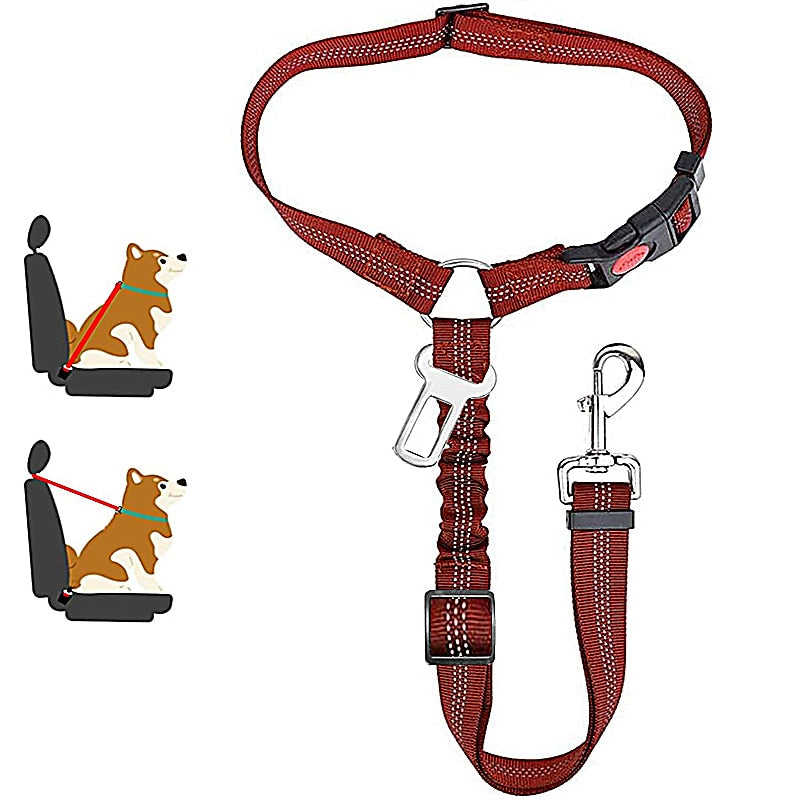 Car Dog Leash - Pets Accomplice