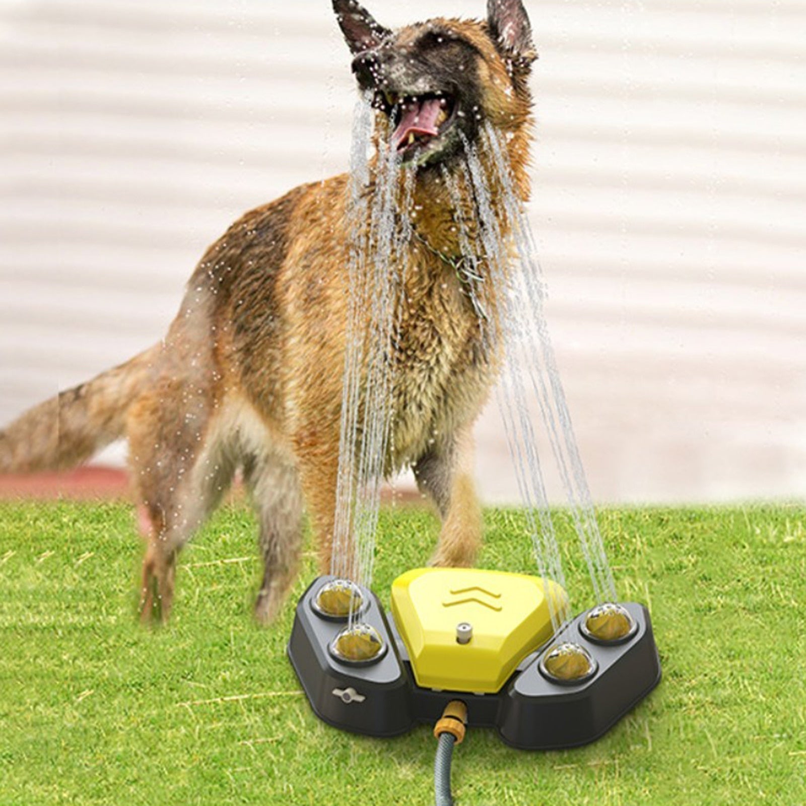 Dog Water Sprinkler - Pets Accomplice