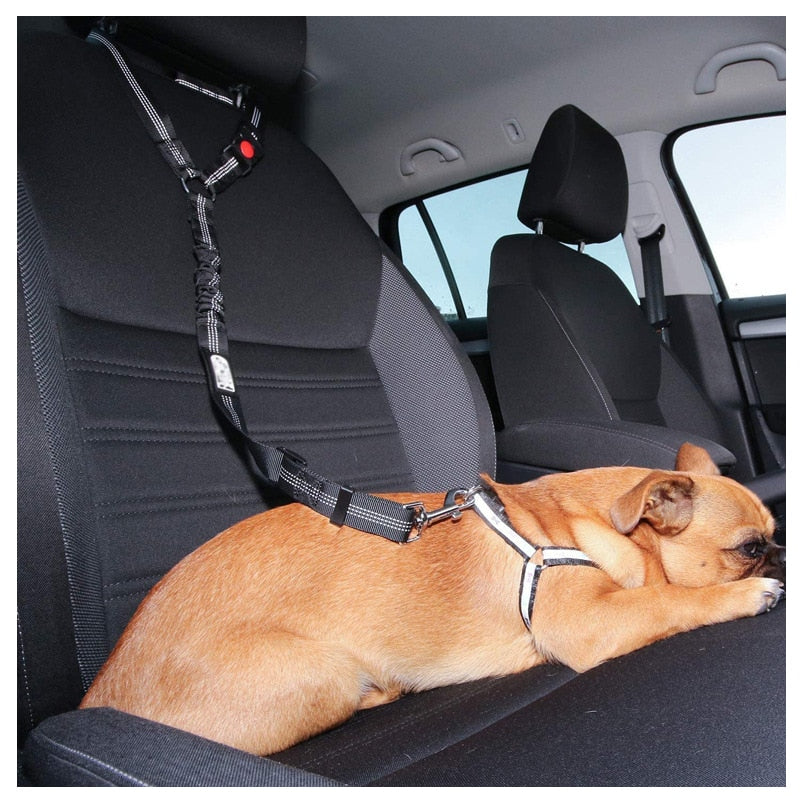 Car Dog Leash - Pets Accomplice