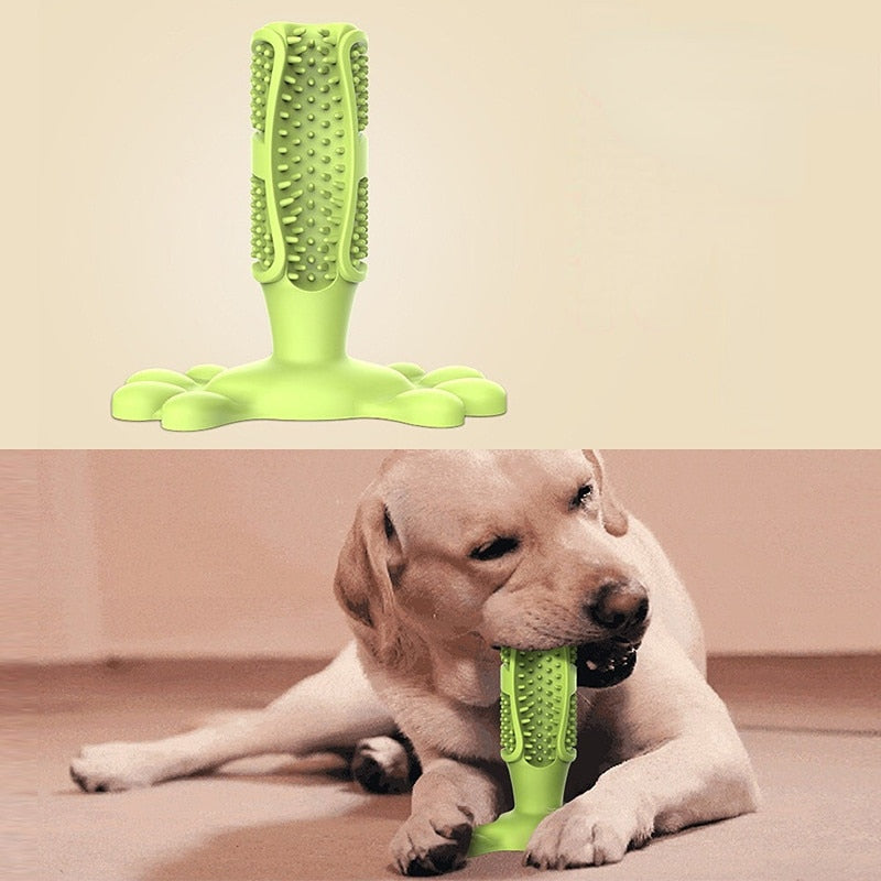 EZ Care Dog Toothbrush - Pets Accomplice