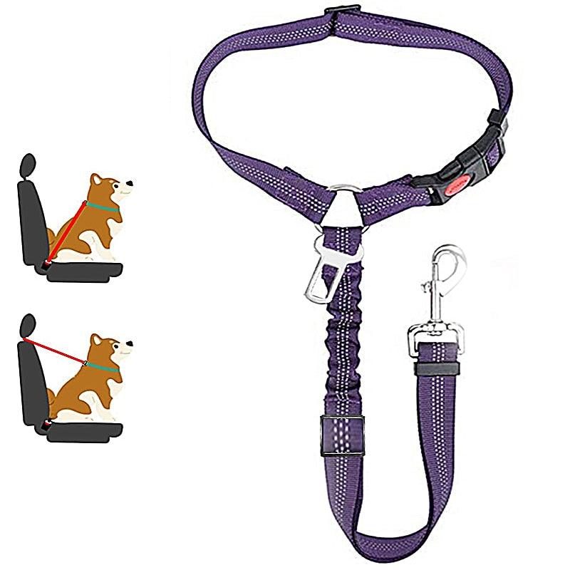 Car Dog Leash - Pets Accomplice
