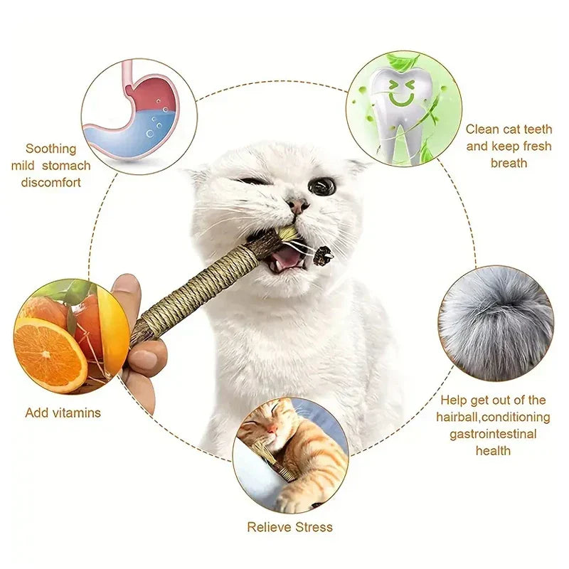 CAT SILVERVINE CHEWING STICK - Pets Accomplice