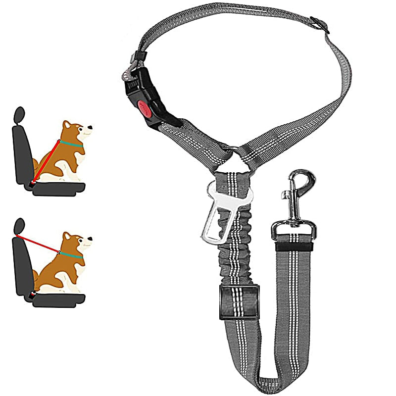 Car Dog Leash - Pets Accomplice