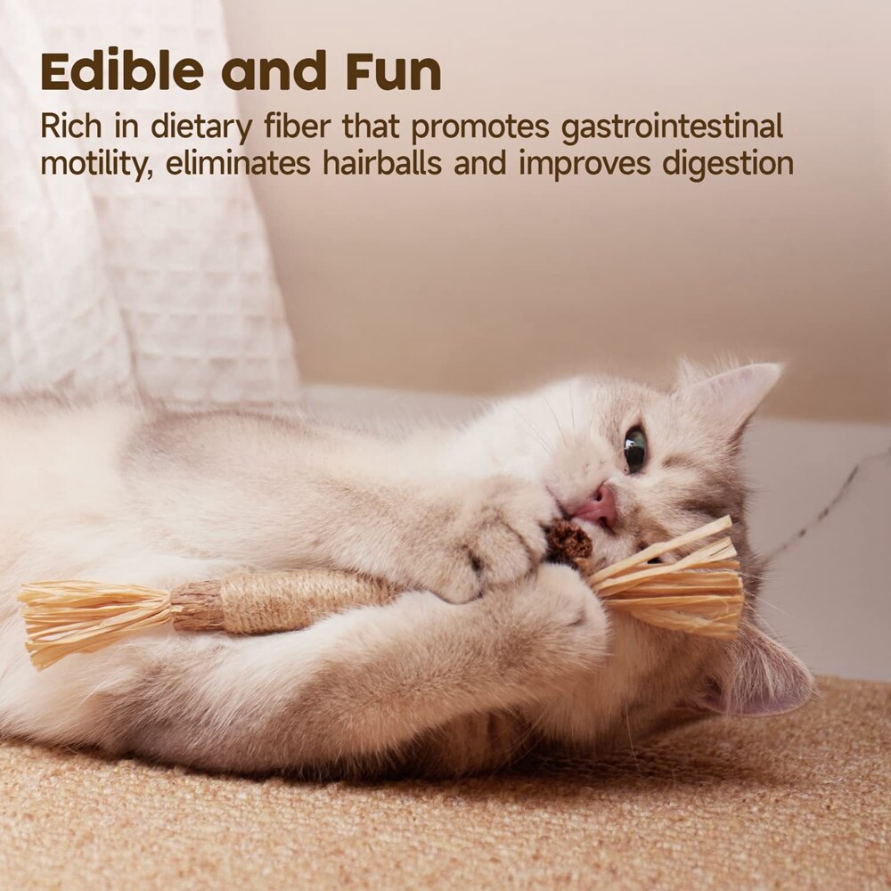 Natural Silvervine Stick Cat Chew Toy-2pcs - Pets Accomplice