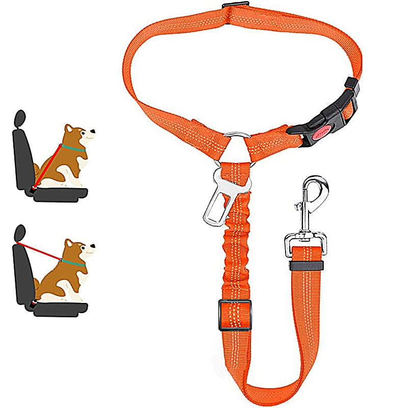 Car Dog Leash - Pets Accomplice