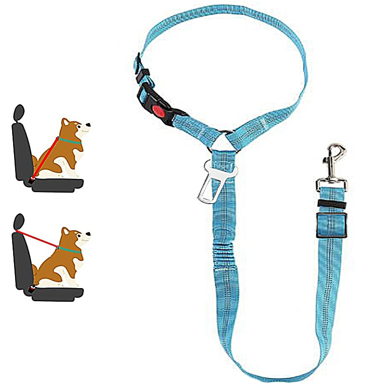 Car Dog Leash - Pets Accomplice