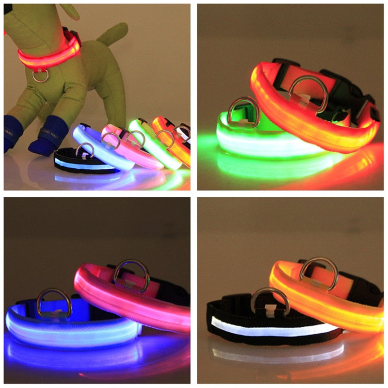 LED Flashing Dog Collar - Pets Accomplice