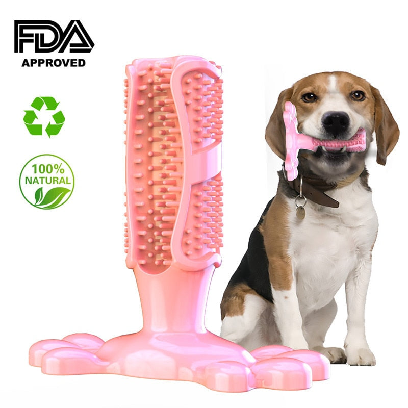 EZ Care Dog Toothbrush - Pets Accomplice