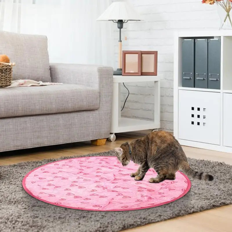 2 in 1 Simulated Interactive Hunting Cat Toy - Pets Accomplice