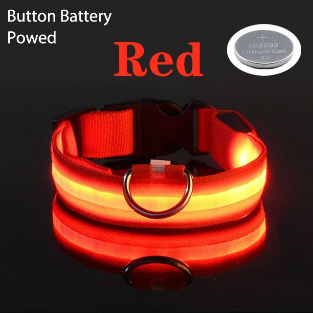 LED Flashing Dog Collar - Pets Accomplice