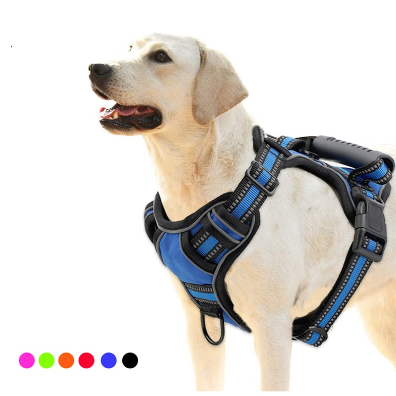 Dog Harness And Retractable Leash Set - Pets Accomplice