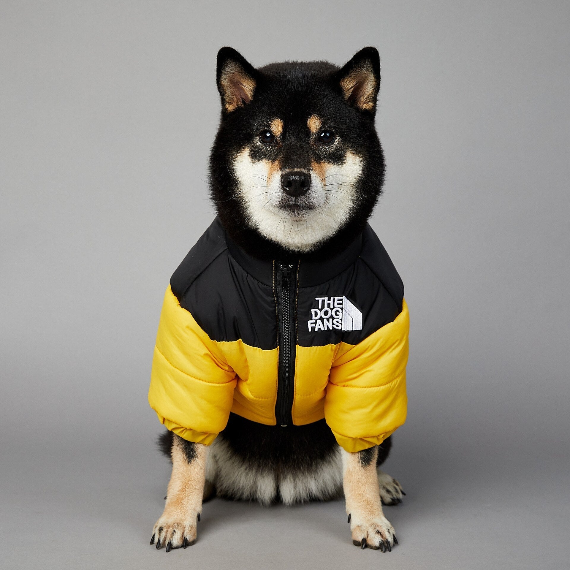 Dog Face Puffer Coat - Pets Accomplice
