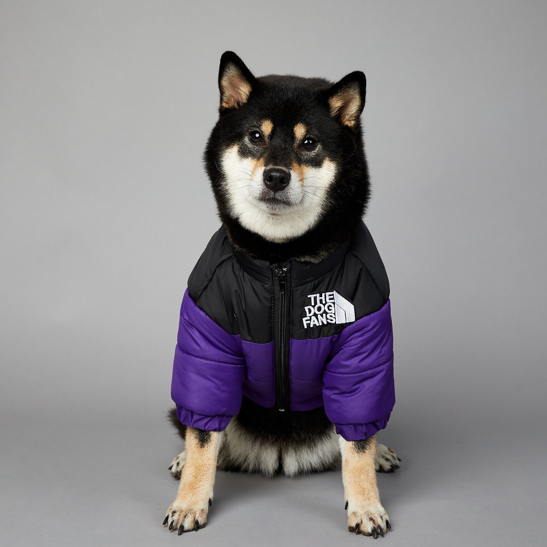 Dog Face Puffer Coat - Pets Accomplice