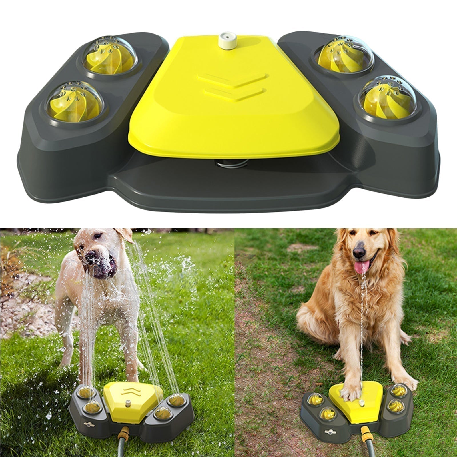 Dog Water Sprinkler - Pets Accomplice