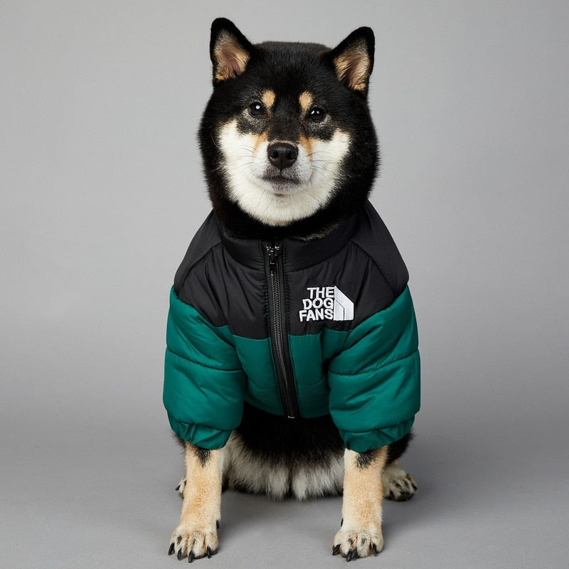 Dog Face Puffer Coat - Pets Accomplice