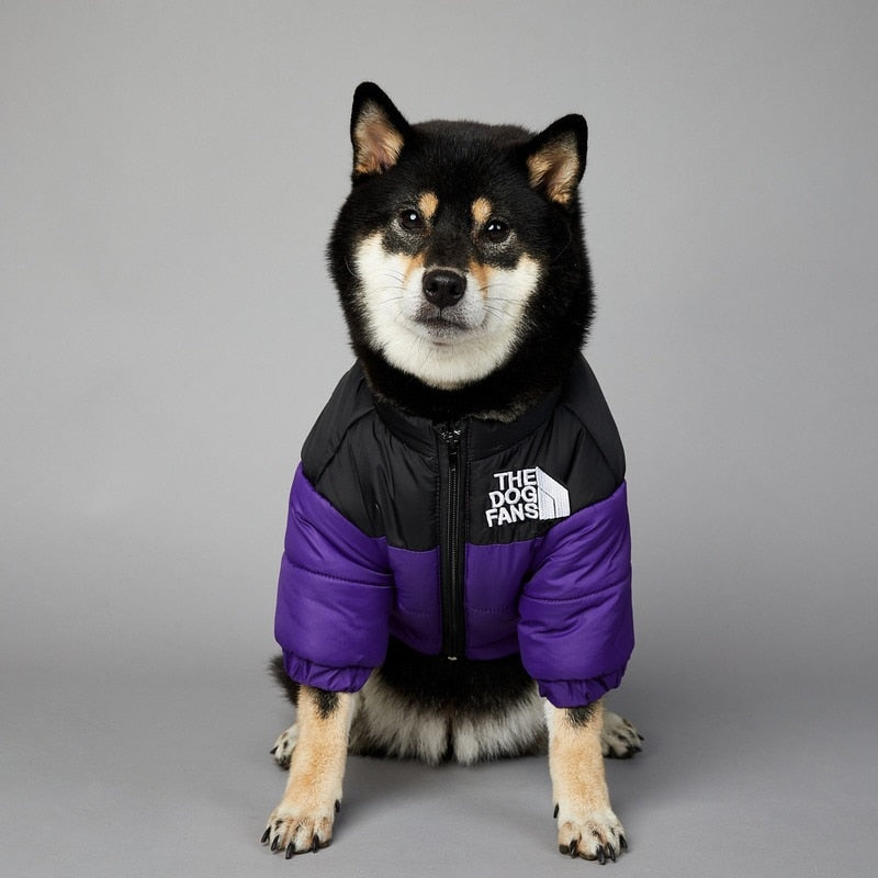 Dog Face Puffer Coat - Pets Accomplice
