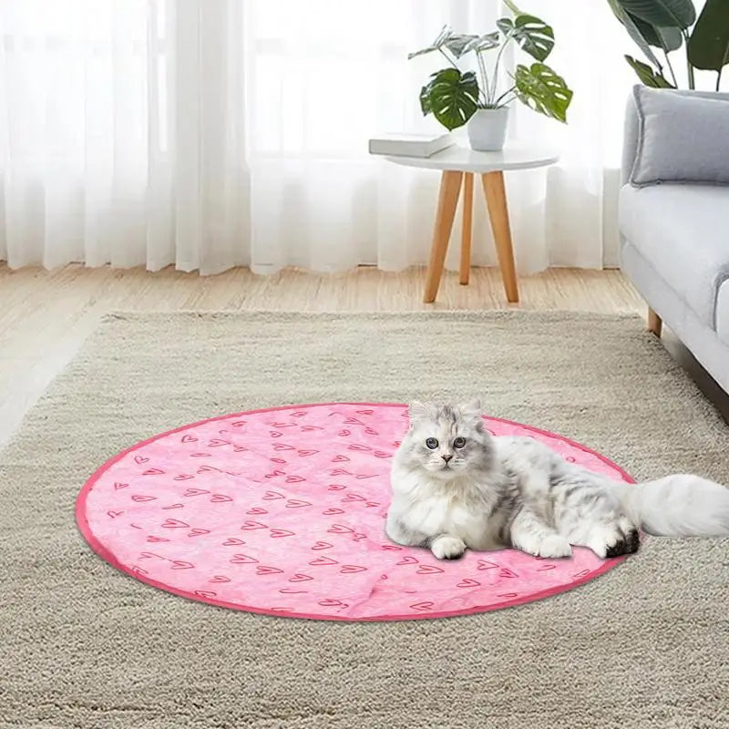 2 in 1 Simulated Interactive Hunting Cat Toy - Pets Accomplice