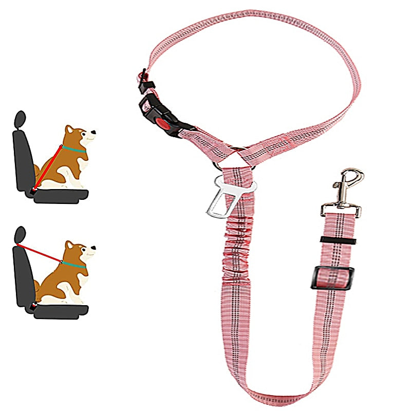 Car Dog Leash - Pets Accomplice