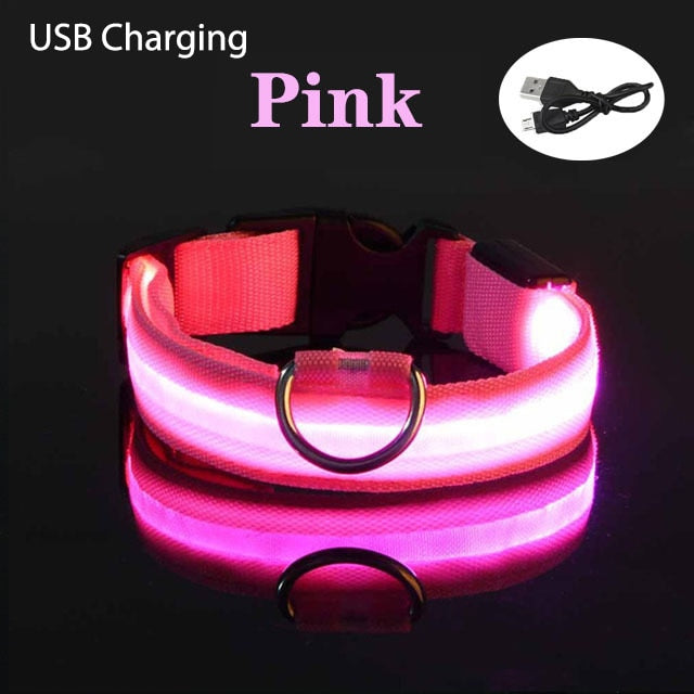 LED Flashing Dog Collar - Pets Accomplice