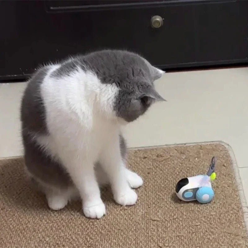 Automatic Cat Toy - Pets Accomplice