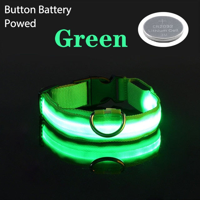 LED Flashing Dog Collar - Pets Accomplice