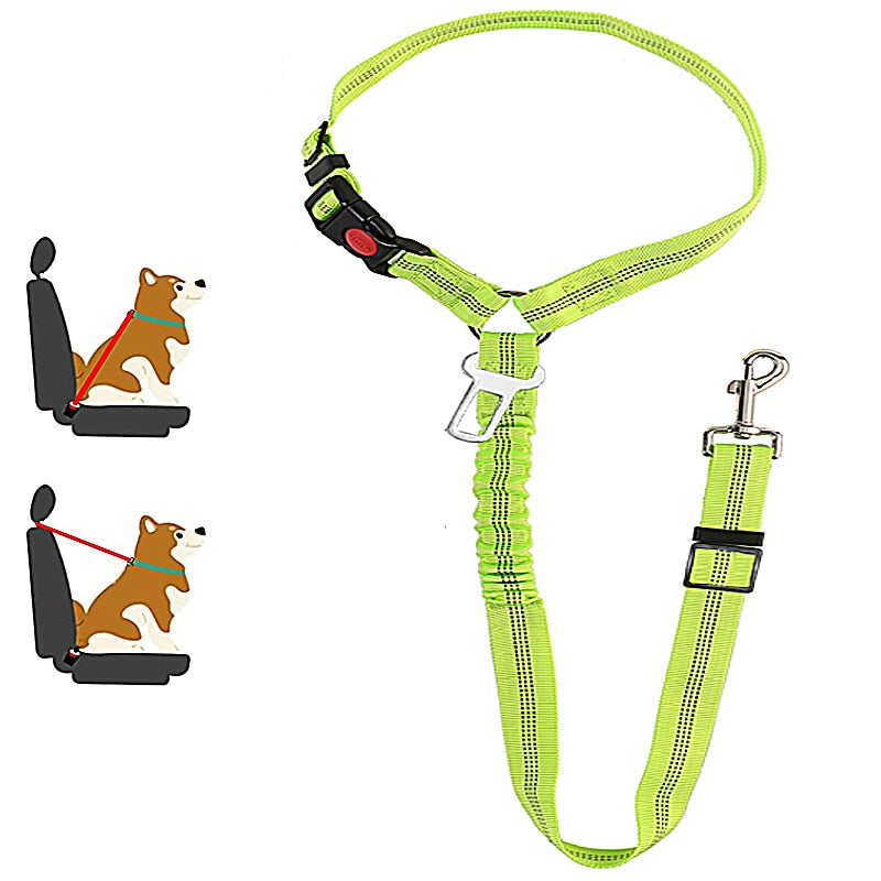 Car Dog Leash - Pets Accomplice