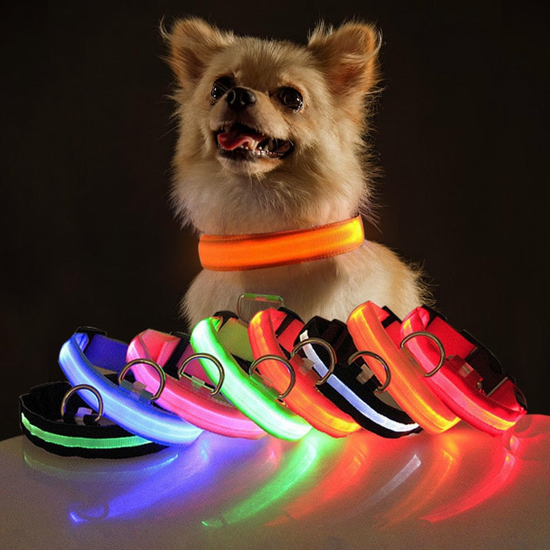 LED Flashing Dog Collar - Pets Accomplice
