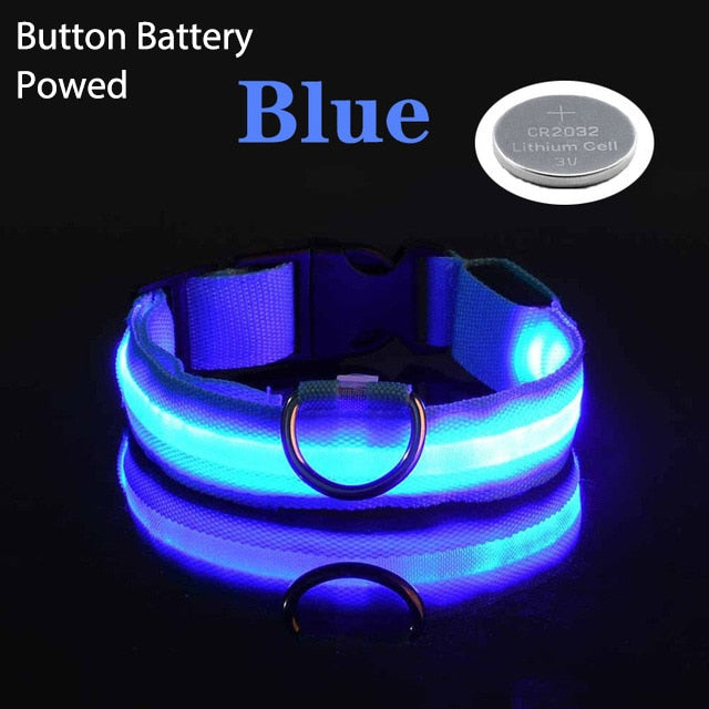 LED Flashing Dog Collar - Pets Accomplice