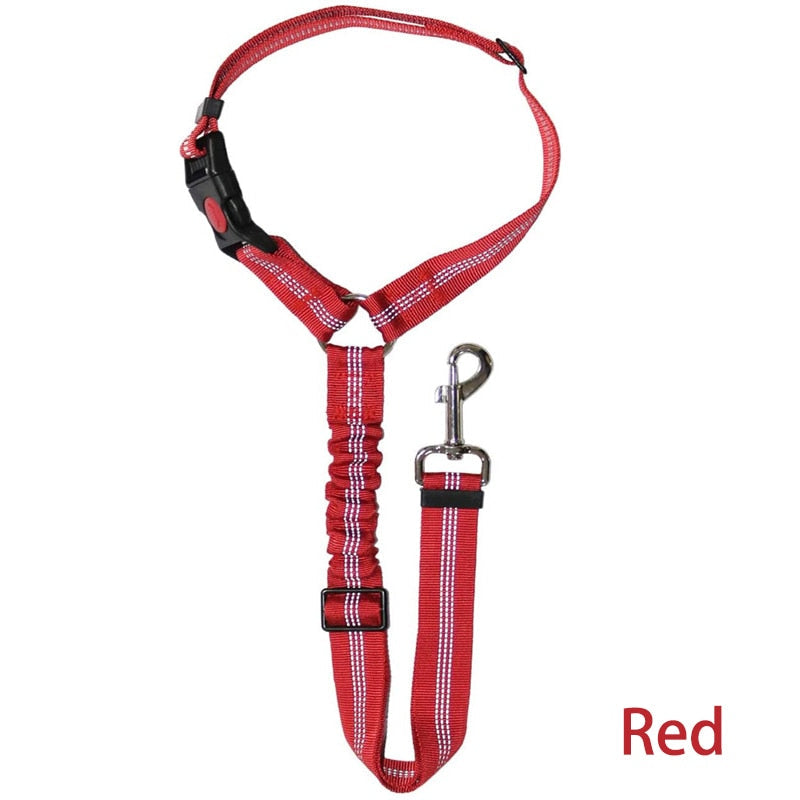 Car Dog Leash - Pets Accomplice