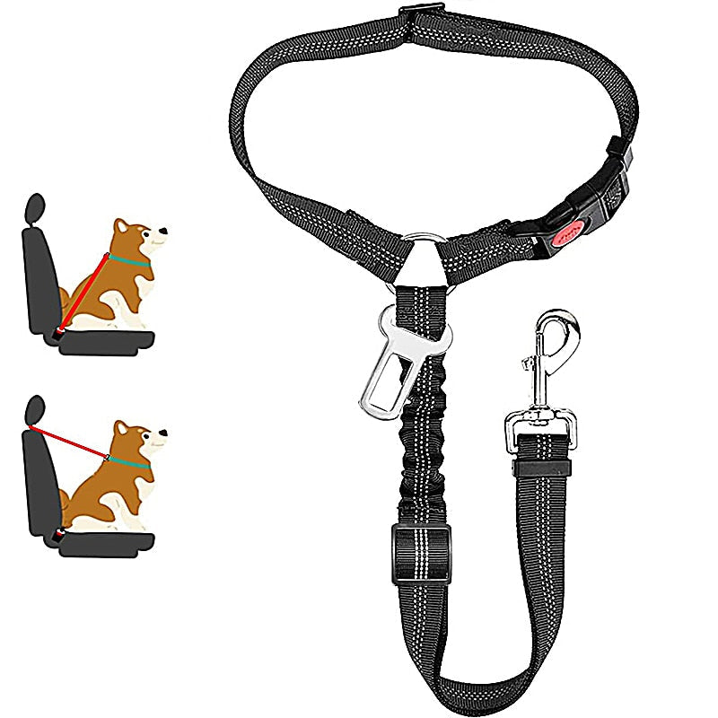 Car Dog Leash - Pets Accomplice