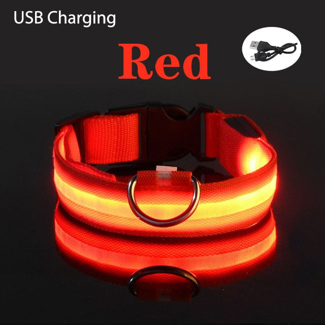 LED Flashing Dog Collar - Pets Accomplice