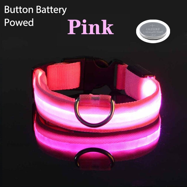 LED Flashing Dog Collar - Pets Accomplice