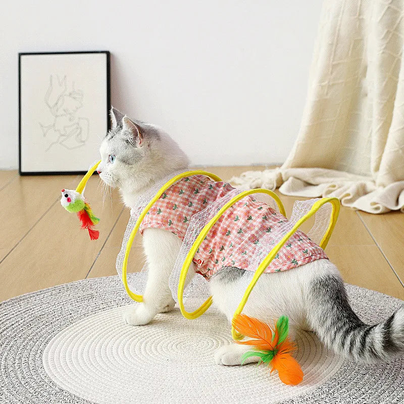 Self-play Cat Hunting Spiral Tunnel Toy - Pets Accomplice