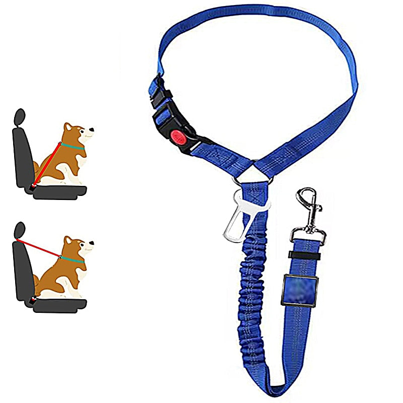 Car Dog Leash - Pets Accomplice