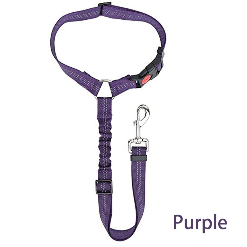 Car Dog Leash - Pets Accomplice