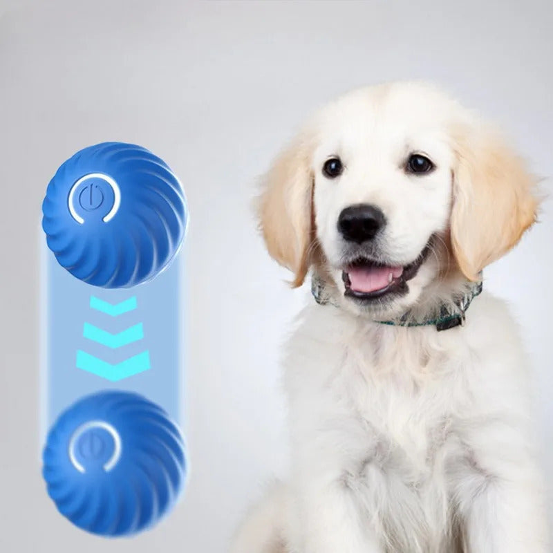 Interractive Motion Activated Rolling Ball Dog Toy - Pets Accomplice